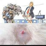 trump-ridicule - politcs satire cartoons